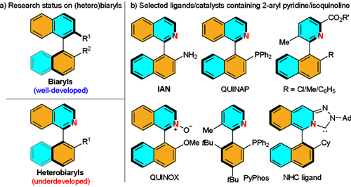 图2. 芳基吡啶异喹啉类轴手性骨架在手性配体及催化剂中的应用