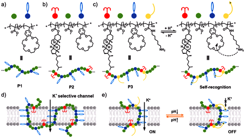 ~7G{S]N604V~%~{5EPMAM~W