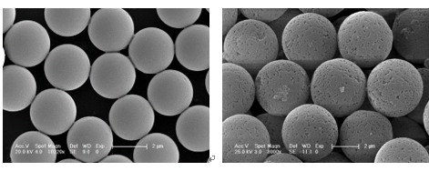 8E5CE9C9-7FD8-4a67-BF27-94DEAD9443F5